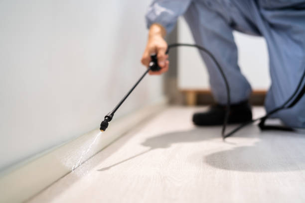 Licensed Fumigation Services service in Pittston, PA - Nex Pest Control