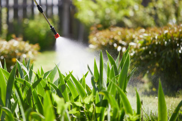 24/7 Emergency Fumigation Services experts in Pittston, PA