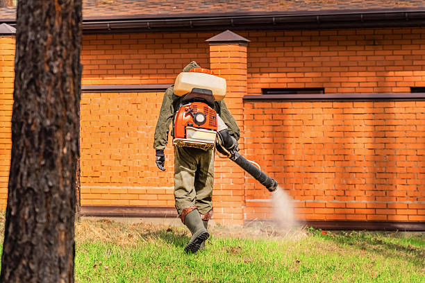 Trusted Cockroach Control service in Pittston, PA - Nex Pest Control